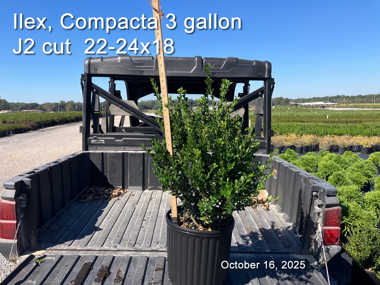 gallery/comp3 j2cut oct16.jpg